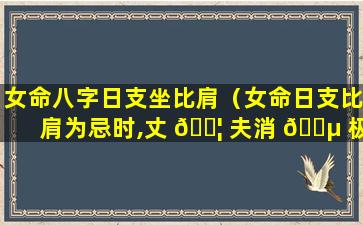 女命八字日支坐比肩（女命日支比肩为忌时,丈 🐦 夫消 🐵 极被动）